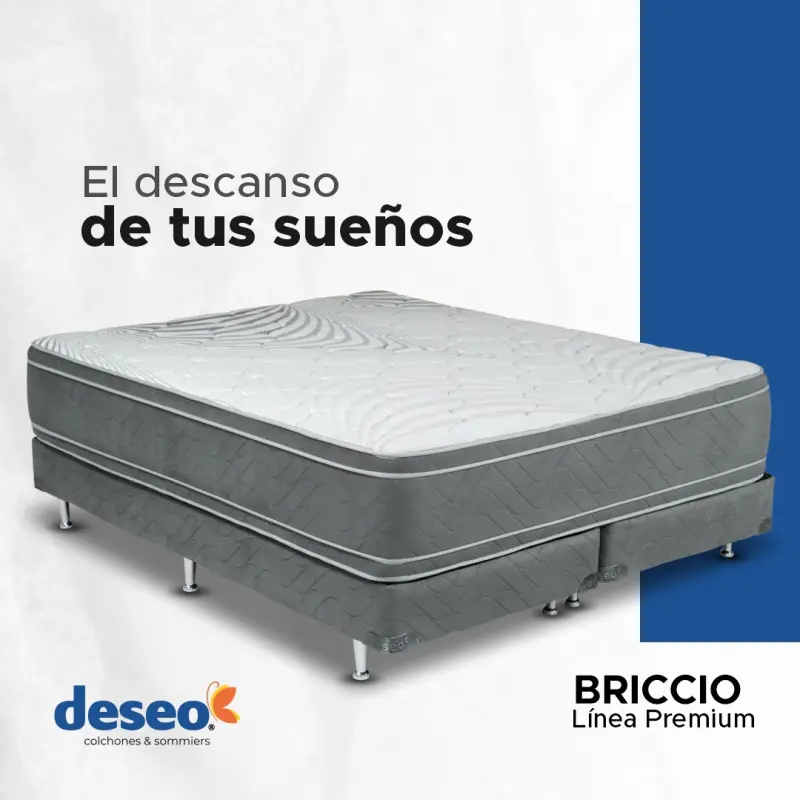 Conjunto sommier QUEEN BRICCIO 160cm